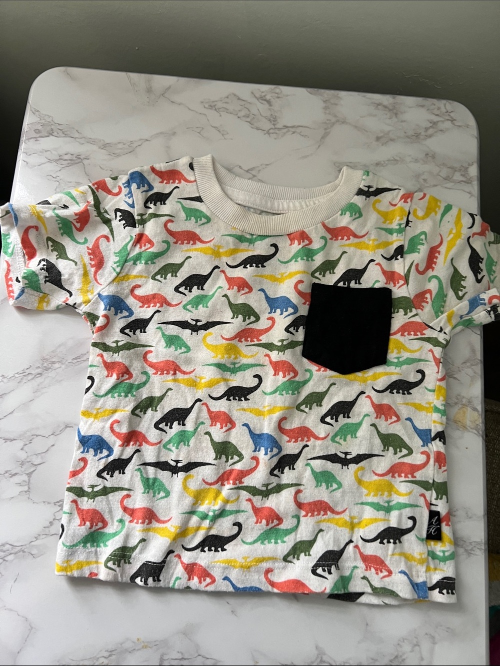 Kids Short Sleeve Dino Pocket Tee - White with Multicolor Dinosaurs